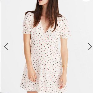 Madewell Silk Strawberry Dress, Size 8